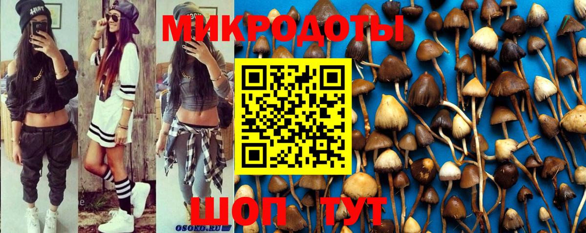 Саяногорск  Галлюциногенные грибы Magic Shrooms  Вход с VPN 